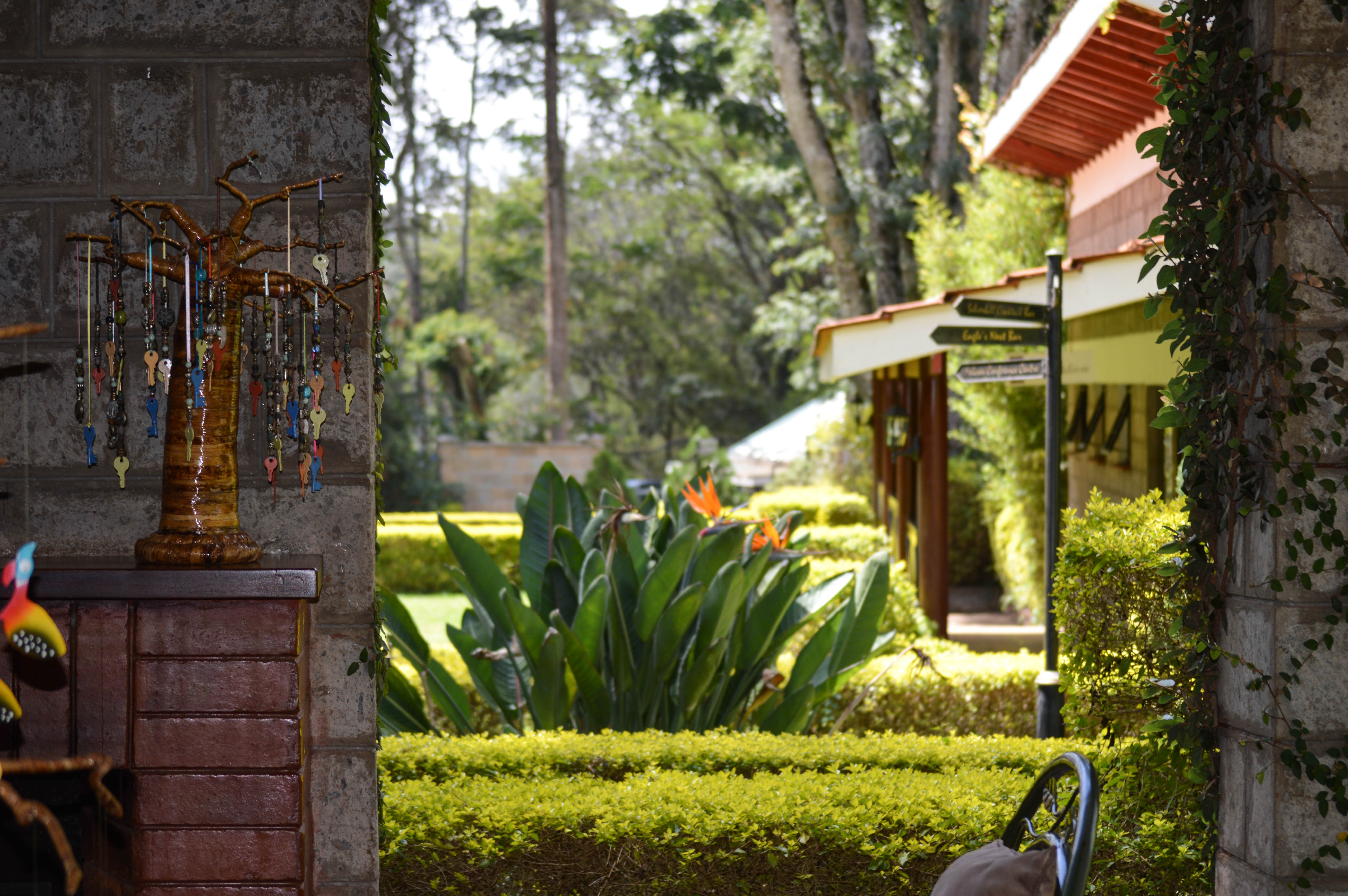 Review: Karen Country Lodge, Nairobi, Kenya